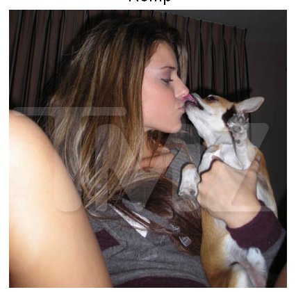 Carrie Prejean makes out with dog in her panties