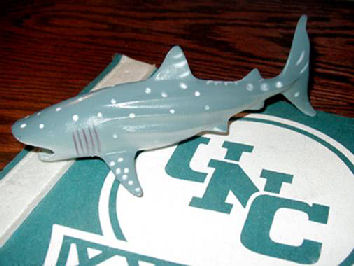Shark Attack Sharkey's Michigan State UNC